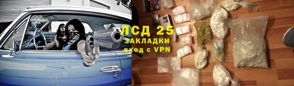 PSILOCYBIN Алзамай