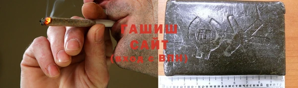 PSILOCYBIN Алзамай
