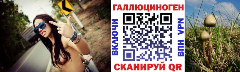 Галлюциногенные грибы Cubensis  Усть-Илимск 